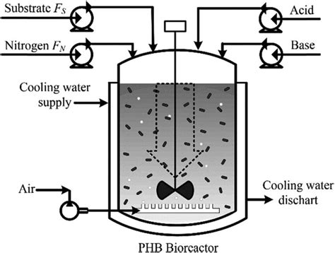 Schematic diagram of a typically PHB fed-batch bioreactor. | Download ...