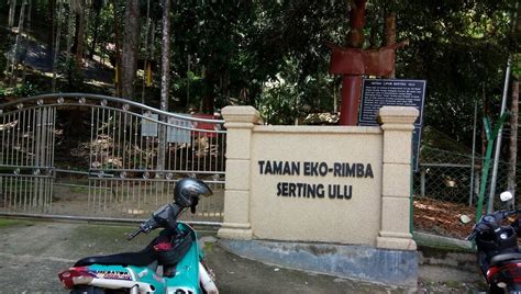 Hutan Lipur Serting Ulu, Simpang Pertang