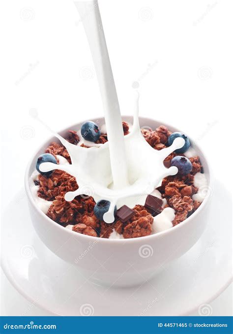 Chocolate Cereal With Milk Stock Image | CartoonDealer.com #5095645