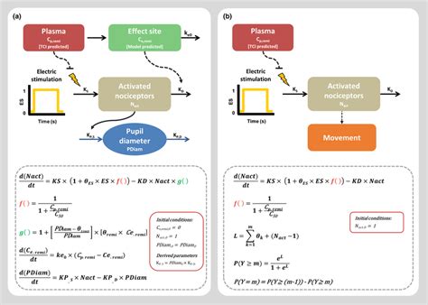 Schematic and mathematical representation of the... | Download ...