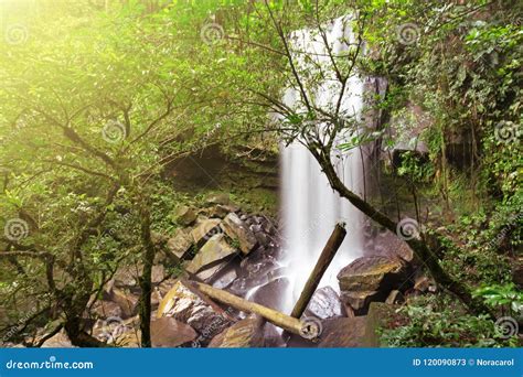 Waterfall Near Ginseng Camp in Maliau Basin Stock Image - Image of ginseng, park: 120090873