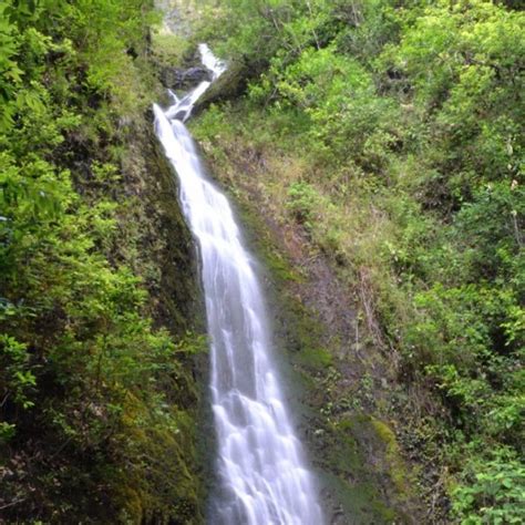 Lulumahu Falls - GoTravelHawaii