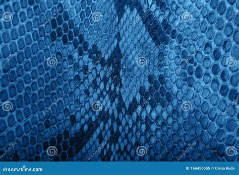 Snake Skin Pattern Toned Classic Blue Color Stock Image - Image of nature, predator: 166456555