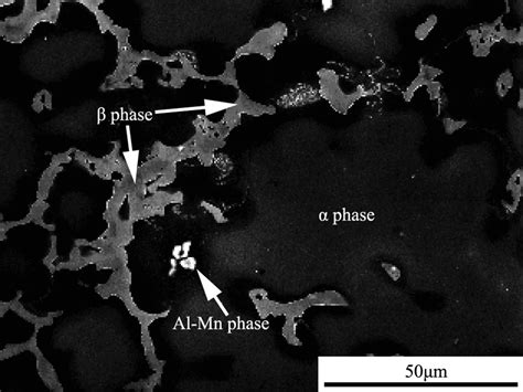 Microstructure of the AZ91D magnesium alloy. | Download Scientific Diagram