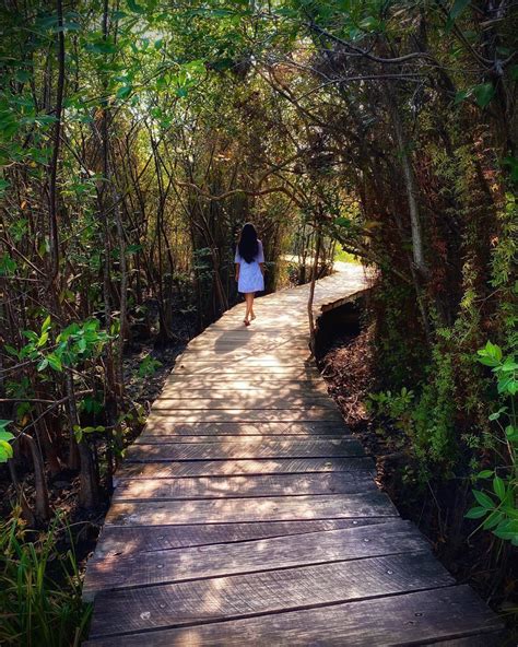 ‪Beddagana wetland park - Colombo‬ ‪SriLanka ‬ | Amazing places on earth, Wetland park, Holiday ...