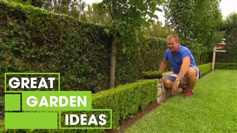 Tips & Tricks For Perfect Hedging | Gardening | Great Home Ideas - YouTube