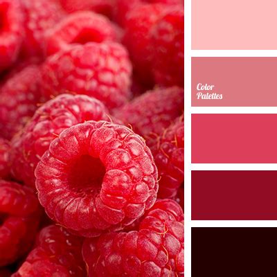 color of raspberry | Color Palette Ideas