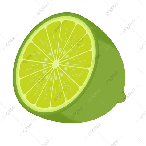 Fresh Limes Clipart Hd PNG, Vector Of Fresh Lime Slice As Tropical Fruit, Lime, Green Lime, Lime ...