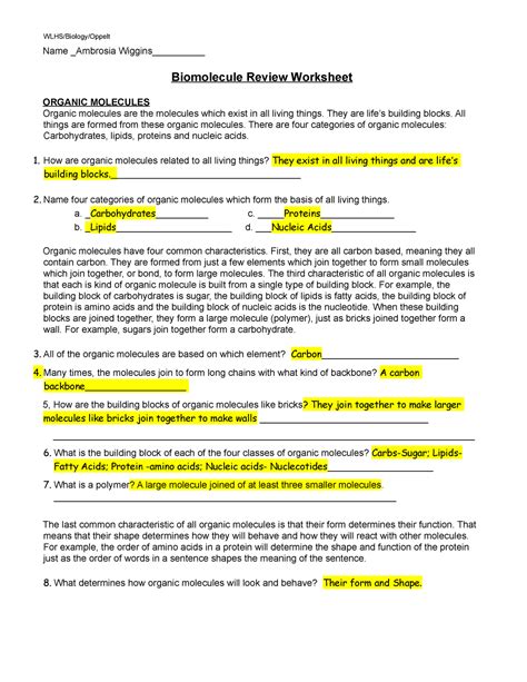 Organic Molecules Worksheet Answer Key – Zip Worksheet