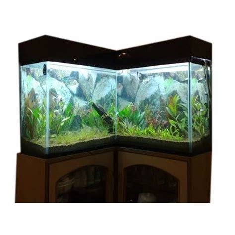 Aquarium Tank in Mumbai, एक्वेरियम टैंक, मुंबई - Latest Price & Mandi Rates from Dealers in Mumbai