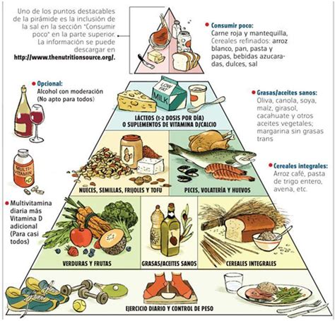 File:Harvard food pyramid es.jpg - Wikimedia Commons