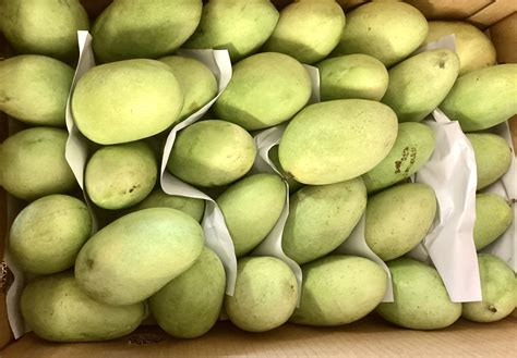 Carabao Mango per 1kg (3/4Pcs)⁹ - Pabili Po