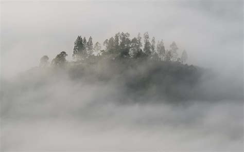 Fog Photography Tips - 10 Ways to Improve Your Skills