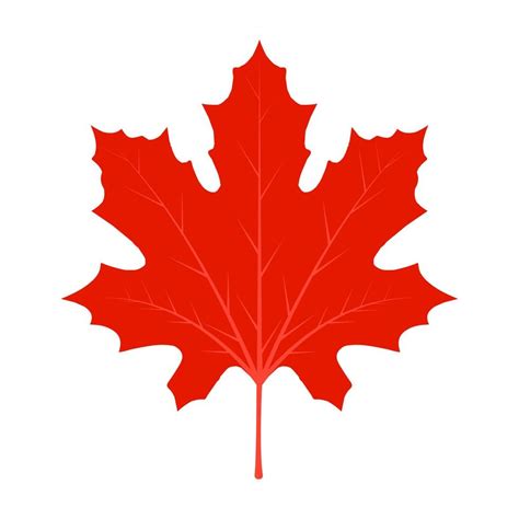 Leaf red maple maple vector canada icon. Leaf maple illustration. Leaf ...