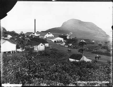 Sugar plantation at Hana, Maui-S00030-1885 | Images of Old Hawaiʻi