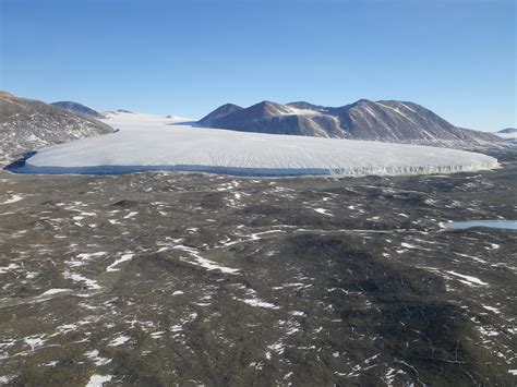 Unique Antarctic ecosystem transformed as polar deserts flooded in ...