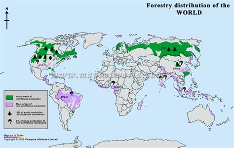 World Forestry Distribution Map