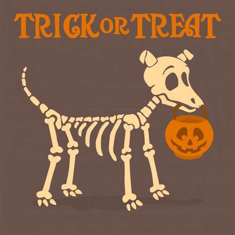 Pin by Victoria on Halloween | Dog skeleton halloween, Dog skeleton ...