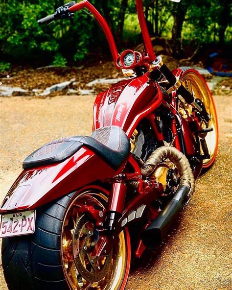 V-Rod Australia | Custom motorcycles harley, Super bikes, Custom bikes