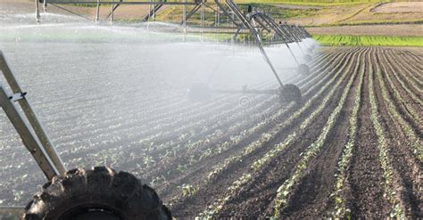 Irrigation Equipment stock photo. Image of order, growth - 19004364