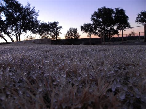 Diane's Texas Garden: First Hard Freeze