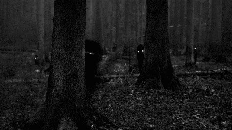 Creepy Eyes and Shadow Figures Hiding Behind Trees | Normal Paranormal