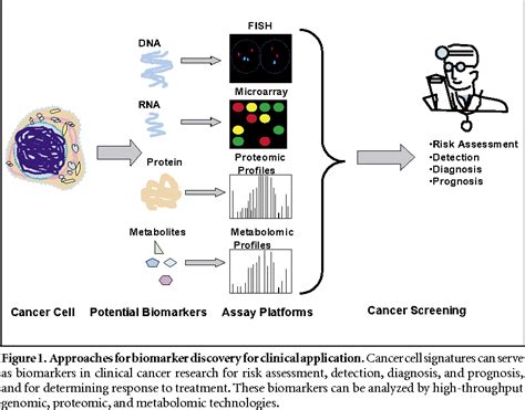 Figure 1 from Biomarkers in molecular medicine: cancer detection and diagnosis. | Semantic Scholar