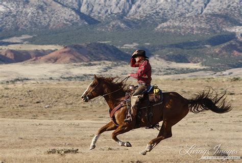 Flitner Ranch, Shell, WY - cowboy and horse running, cowboy holds hat | Horses, Cowboy pictures ...