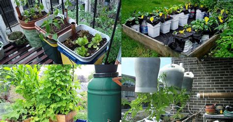 20 Best DIY Self-Watering Container Garden Ideas