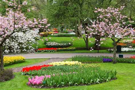 Garden Fancy: A beautiful spring garden area (in my mind)