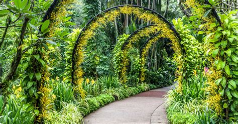 Finest Botanical Gardens Around the World And Their Fascinating Plants