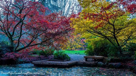 17 Fall in Washington Park Arboretum, King County King County ...