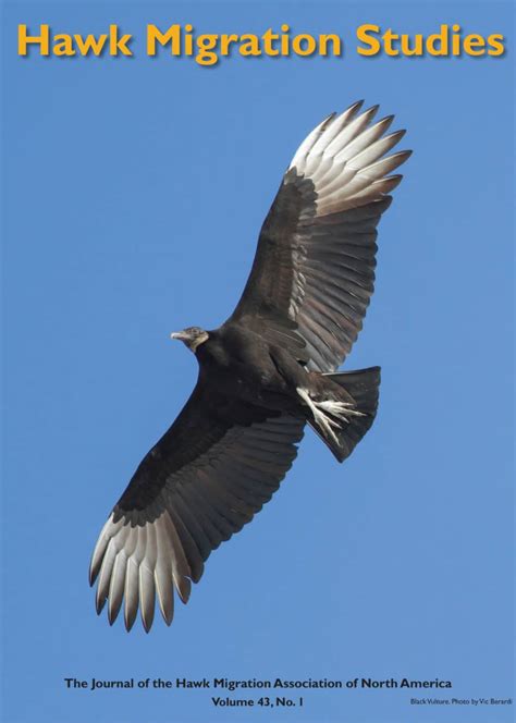 Hawk Migration Studies – Hawk Migration Association of North America