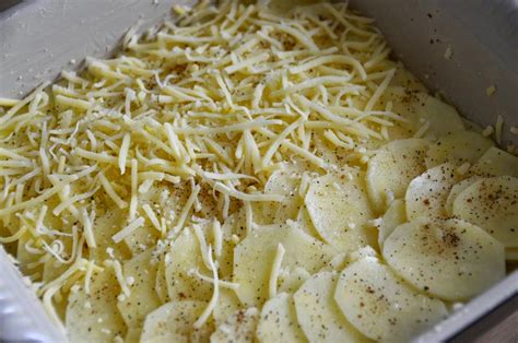 PIZZA FOR BREAKFAST: GRATIN DAUPHINOIS (POTATO GRATIN) WITHANDWITHOUT CHEESE