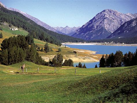 Parco Nazionale dello Stelvio Nationalpark Stilfserjoch: The Protected Area