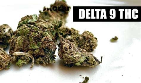 Delta 9 THC All-In-One Guide - GIS user technology news