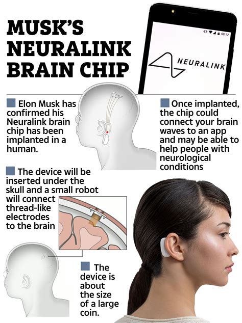 'We'll beg for brain chips to be implanted in our babies' says expert ...