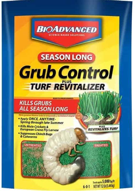 Best Grub Killer [Top 7 Liquid + Granular Insecticides - Reviews] | CG Lawn