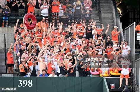 Baltimore Orioles Fan Photos and Premium High Res Pictures - Getty Images