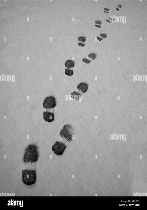 footsteps snow Stock Photo: 4487874 - Alamy