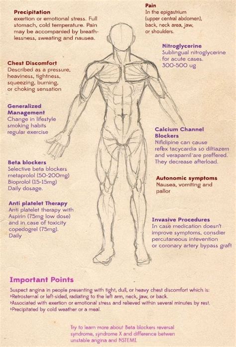 What is Angina? Symptoms, Risk factors, Causes & Treatment.