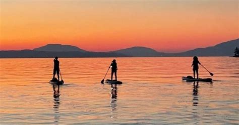 Brentwood Bay: Bioluminescence Tour