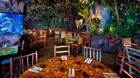 Rainforest Cafe Animal Kingdom | Walt Disney World Resort