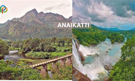 Anaikatti Travel Guide Explore The Foothills Of Nilgiri!