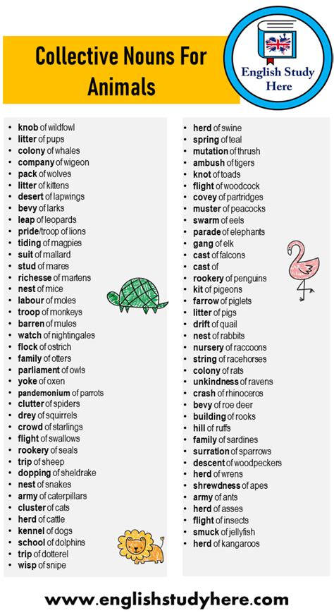 +75 Collective Nouns For Animals Word List - English Study Here