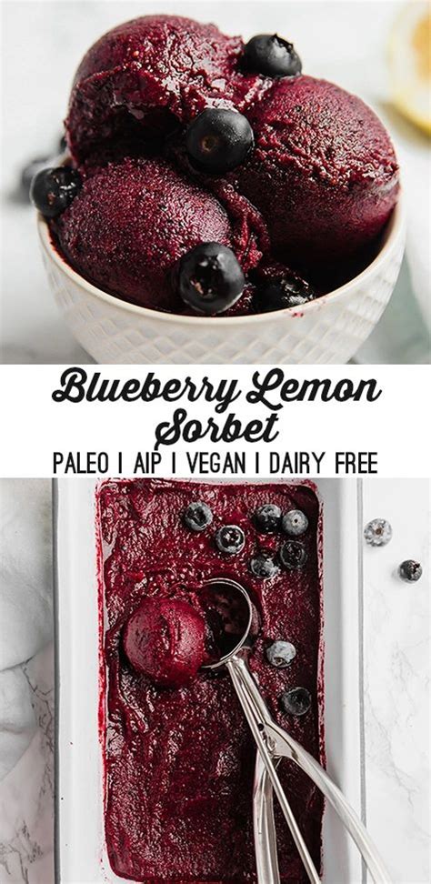 No Churn Blueberry Lemon Sorbet | Recipe | Sorbet recipes, Food processor recipes, Frozen desserts