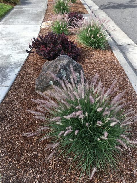 Median strip landscaping - a gardening opportunity | Details Landscape Art