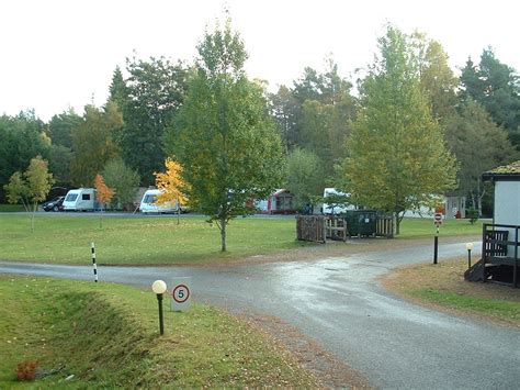 Rothiemurchus Camp and Caravan Site, Aviemore – Camping Park | VisitScotland