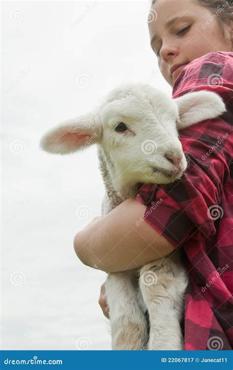 Lamb and farm girl stock image. Image of mammal, baby - 22067817