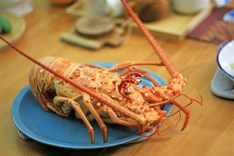 "Rock Lobster" Images – Browse 12,485 Stock Photos, Vectors, and Video | Adobe Stock